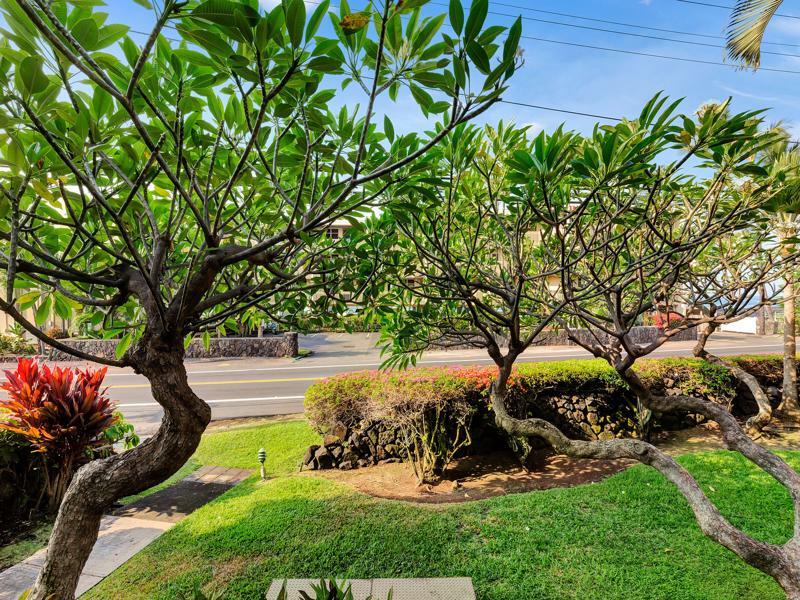 Castle Kona Bali Kai A Condominium Resort Holualoa Buitenkant foto